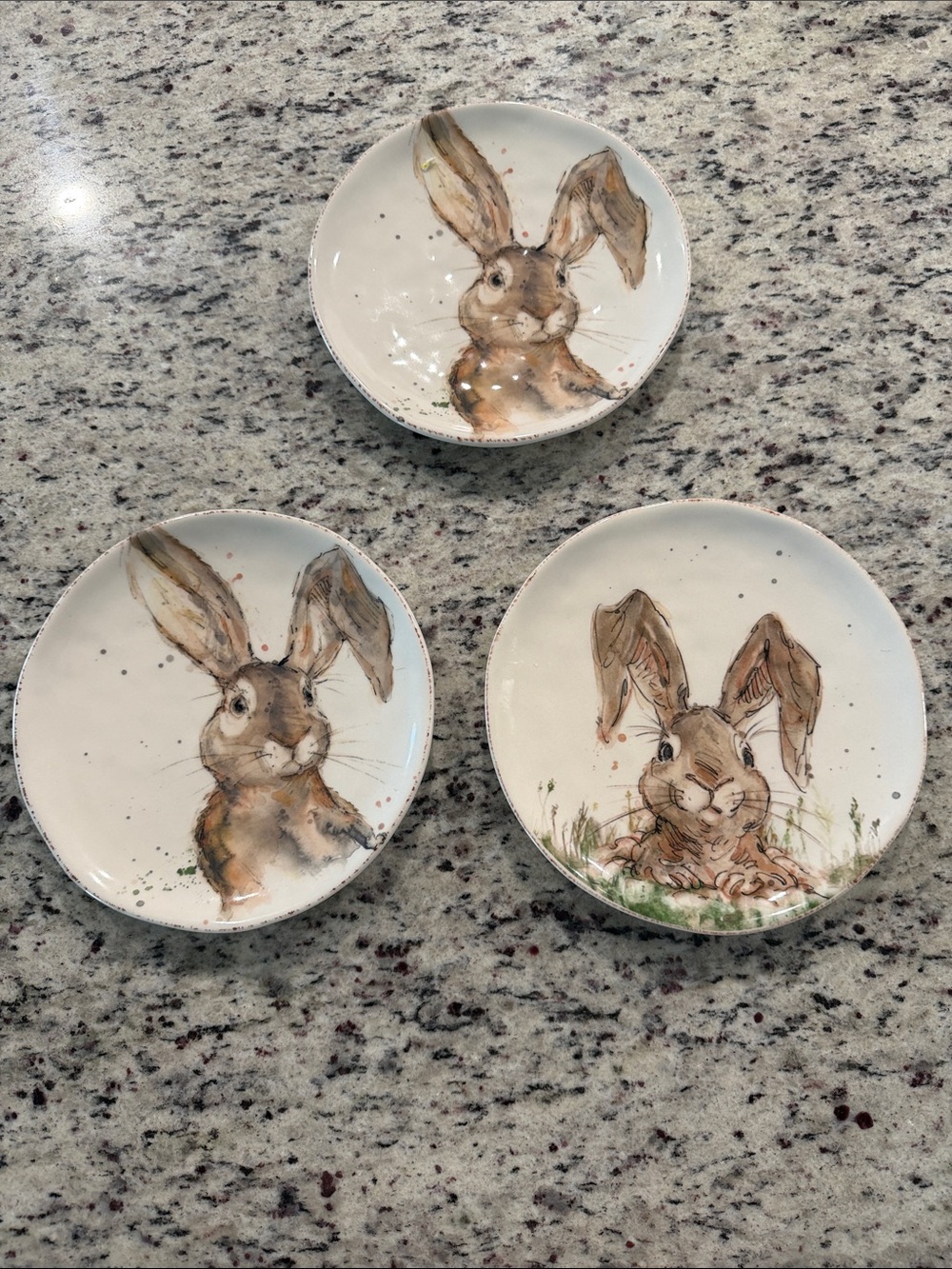Southern Living Ceramic Bunny Plates - Brown on Cream (Set of 3)